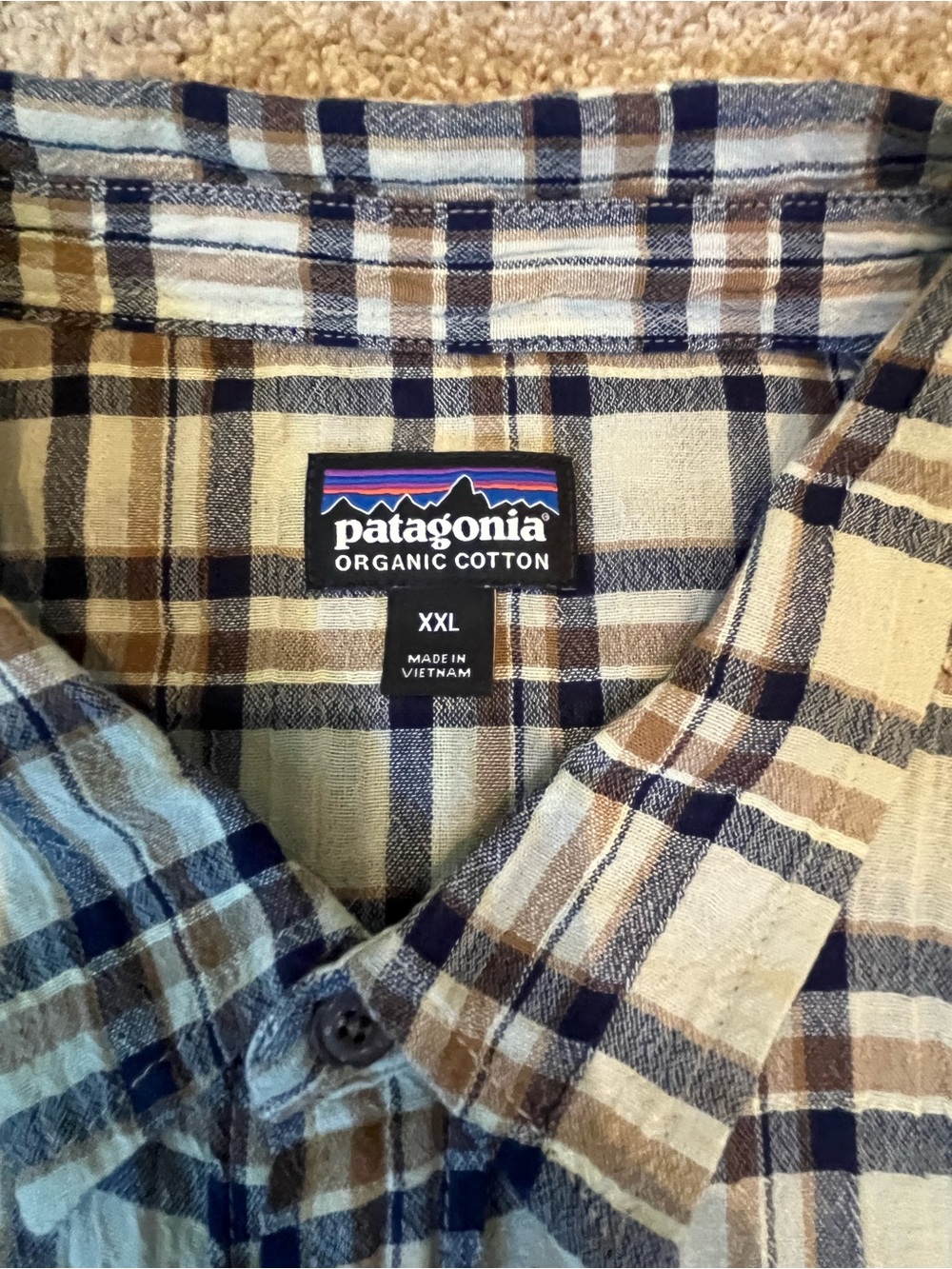 Patagonia Plaid Button-Up Shirt — Blue & Brown